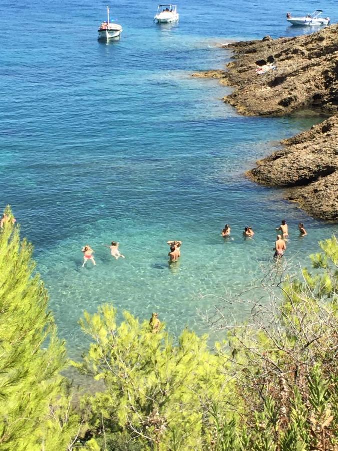 Studio Rocher Bleu Pres Des Plages - Soleil Levant ラシオタ エクステリア 写真